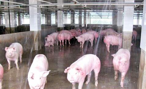 屠宰場廢水檢測項目 屠宰場廢水檢測項目