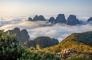 金秀環境檢測-金秀第三方檢測機構